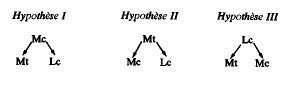 Hypoth�se g�n�alogique simple